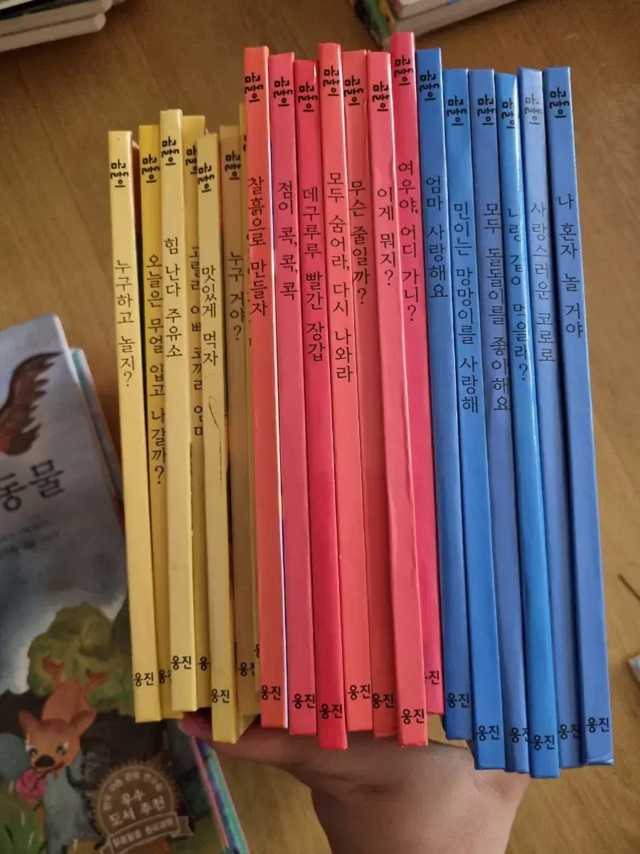 마술피리 그림책 꼬마 시리즈 1~80권 팝니다 | 브랜드 중고거래 플랫폼